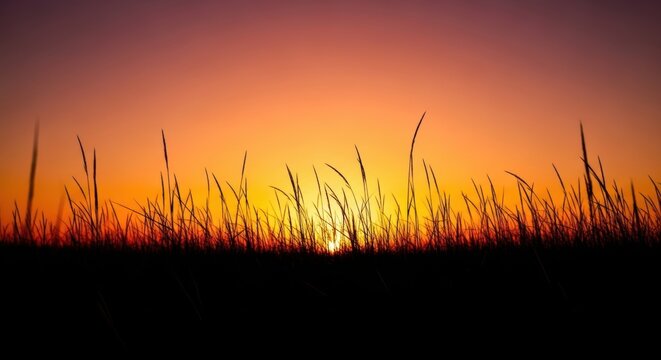 Serene Sunset Over Thicket with Vibrant Sky Colors