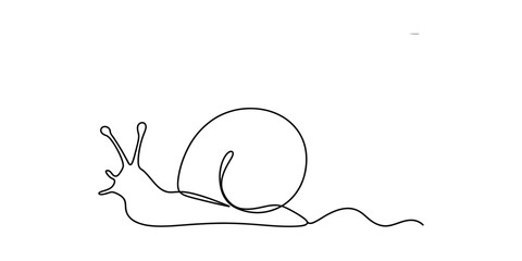A minimalist single line drawing of a snail isolated on a plain white background for design art Vector, illustration © Shreemoti