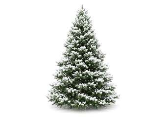 Fototapeta premium Beautiful evergreen tree adorned with fresh snowflakes covering its branches and needles gracefully isolated on white background