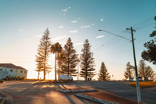 Coastal road intersection at sunrise with tall pine trees and a white van