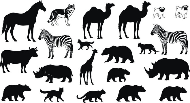 Diverse animal silhouette vector collection featuring wild and domestic species like bears, zebras, camels, rhinos, horses, giraffes, wolves, and cats for nature conservation and education.