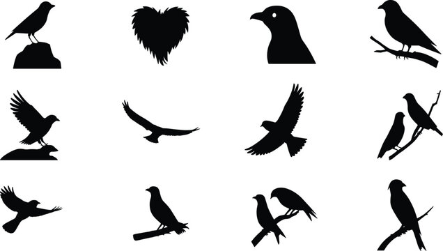 Black silhouette icons of birds perched, flying, resting, and interacting, diverse wing shapes and heart design for illustration, nature, and creative references
