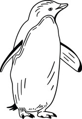 Outline illustration of a penguin in a black line art coloring book style, vector drawing © HootDesignStudio