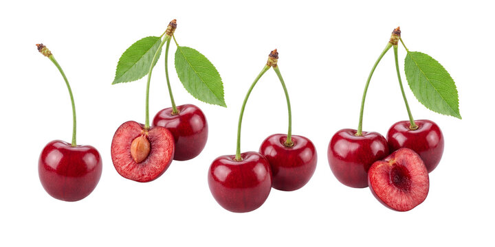 Fresh Ripe Red Cherries with Stems and Green Leaves