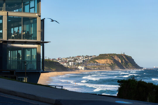gull flying past windows of waterfront building in Newcastle overlooking beach and headland