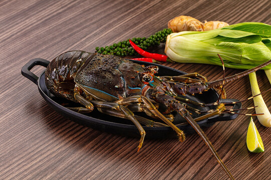 Raw fresh lobster for bowl