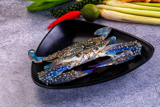 Raw wild blue crabs for cooking