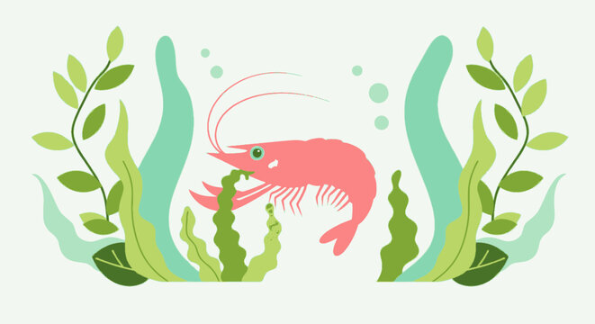 A pink shrimp with long antennae swims amidst stylized seaweed and bubbles. Simple illustration