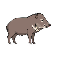 Fototapeta premium Wild boar standing profile view