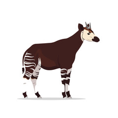 Obraz premium African wild animal with distinctive brown and white stripes standing isolated