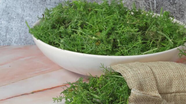fresh herbs in a pot