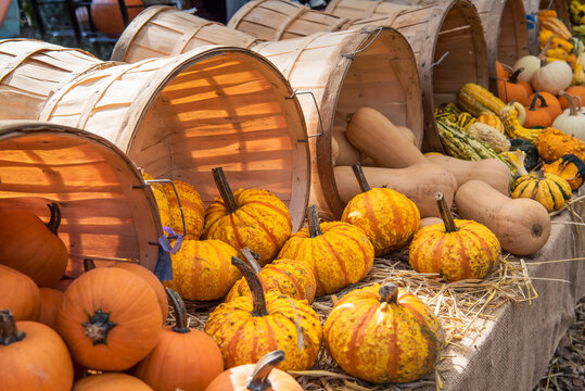 Colorful pumpkin and winter squash at a farmstand