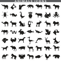 Fototapeta premium Animal silhouette collection. Set of black animal silhouette. Animal icons. Mammal, fish, insects, birds, reptiles silhouette collection. Wild, domestic animals icons
