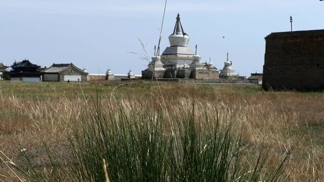 A picturesque shrub of grass on the background of a large stupa of an ancient Buddhist monastery Erdene
Zuu. Kharkhorin, Mongolia. The stupa is a sacred Buddhist structures. Sunny summer day.