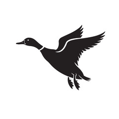 Obraz premium Flying Mallard Duck Silhouette Wildlife Illustration