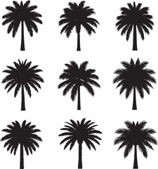 Obraz premium Black palm tree silhouettes, tropical palm trees, vector palm tree icons, palm tree set