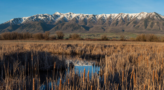 Wetlands open up to create a mountain reflection in Northern Utah