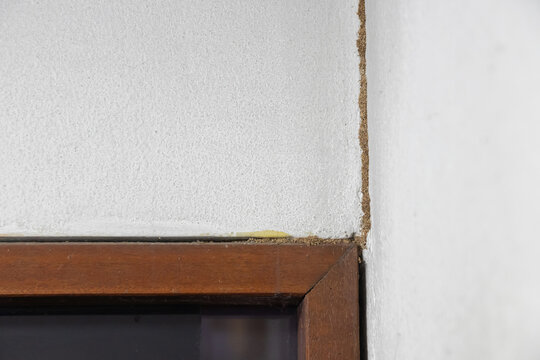 Termite mud tubes on interior wall above wooden door frame, close up showing damage and texture.