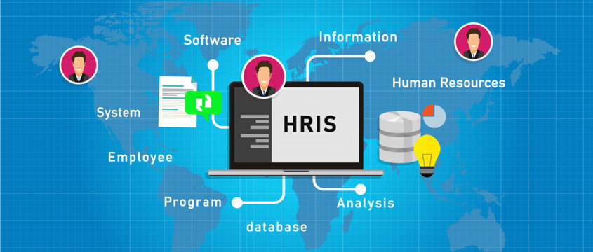 HRIS human resources information system software application and database analysis concept vector illustration