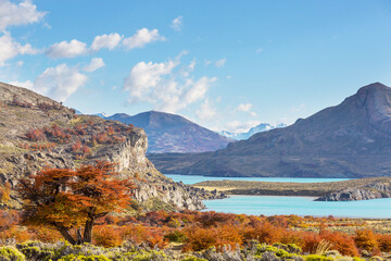 Naklejka premium Autumn in Patagonia