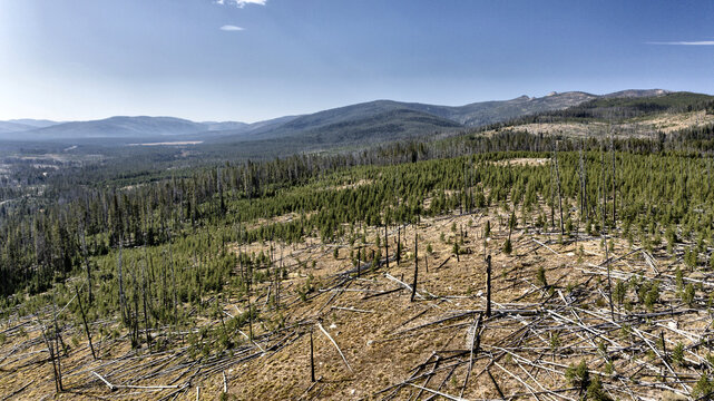 Wide Aerial View of Mountain Wildfire Aftermath with Dead Trees, Lake, and Ridge in Background