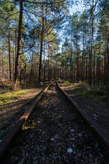 Obraz premium Abandoned railway tracks disappearing into a dense pine forest in Hel, Poland