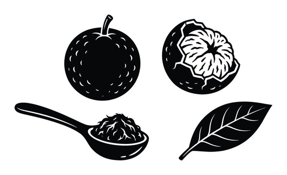 Monochrome illustration of monk fruit with peeled shell herbal tea on spoon and leaf for sweetener