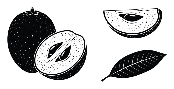 Whole and sliced sapote fruit with a leaf set isolated on transparent background