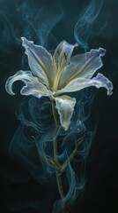 Obraz premium Ethereal White Lily with Delicate Petals Surrounded by Wisps of Smoke Against a Dark Background in an Artistic Display of Beauty and Mystery