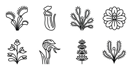 Carnivorous plants and exotic flowers icons set including venus flytrap pitcher plant and sundew art © GoDesigner