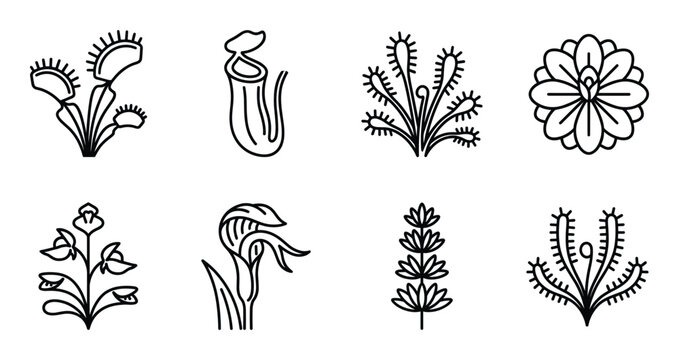 Carnivorous plants and exotic flowers icons set including venus flytrap pitcher plant and sundew art