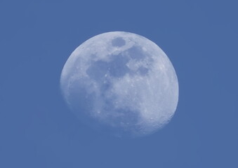 Moon on blue sky background © dule964