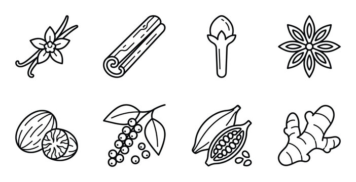Natural aromatic spice icons set including vanilla cinnamon clove star anise and organic ginger root
