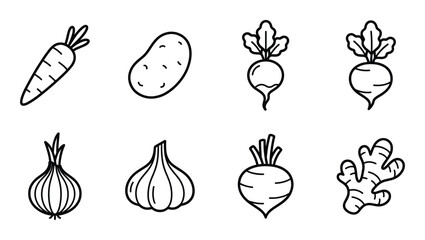 Root vegetable line art set carrot potato onion garlic beet ginger and radish illustrations. © GoDesigner