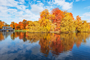 Obraz premium Trees by the pond in the autumn park. 