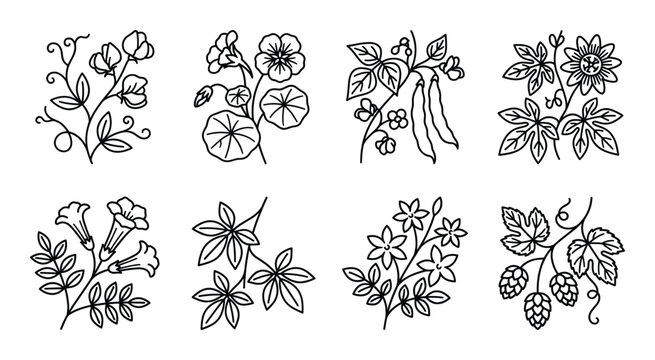 Set of flower outline icon. vector black and white sketch for label packaging