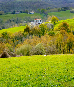 Spring meadows and rural farmhouses in Urnieta.