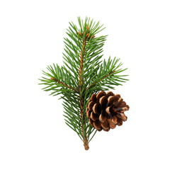 Fototapeta premium Pristine pine branch with vibrant dark-green needles and a detailed brown cone, macro shot against a transparent background with soft shadows, concept of elegant winter nature and holidays