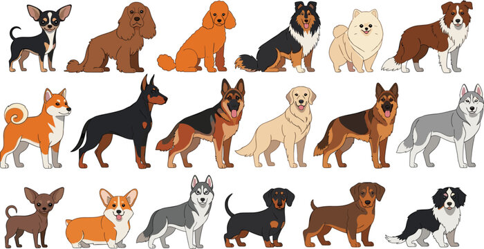 Dog Breed Cartoon Vector Set Featuring Chihuahua, Poodle, Collie, Husky, Corgi, Dachshund, Shepherd, and Other Popular Pet Dogs