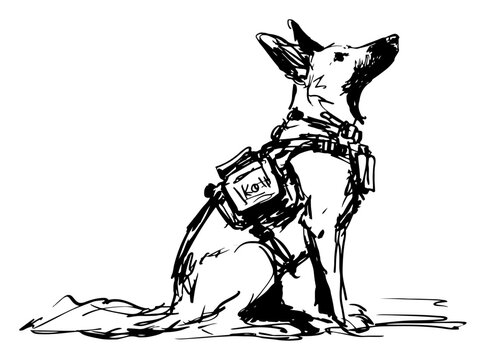 Military working dog wearing tactical harness sitting in alert pose in hand drawn ink sketch style