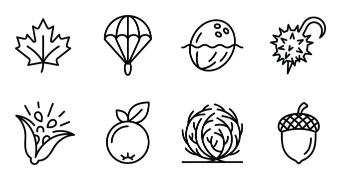 Seed dispersal and autumn symbols set featuring maple leaf coconut acorn tumbleweed and chestnut pod
