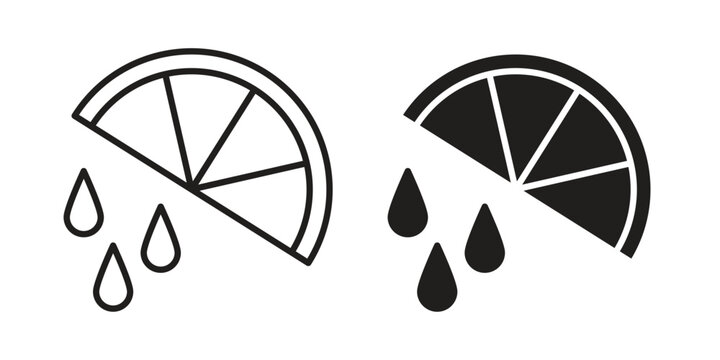 Citrus slice icons vector silhouette set. thin line icon pack.