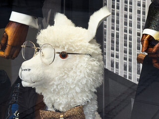 Obraz premium Plush llama in round glasses and glitter bow tie posed in a stylish shop window. Whimsical visual merchandising, quirky fashion display and playful retail character for urban storefront branding