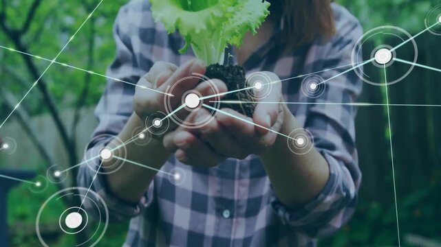 Gardener presenting lettuce seedling as HUD appears, network over face mapping gardening data