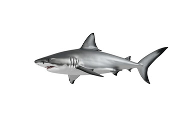 Obraz premium White shark swimming with open mouth