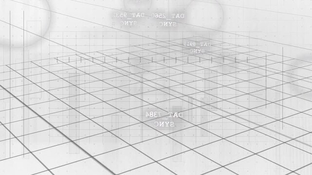 Playback starting wire grid zooming out, tilting, posts rising, mirrored text shifting to show data