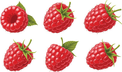 Set of fresh raspberries with leaves isolated on white background juicy red berry fruit vector illustration collection © Prodip
