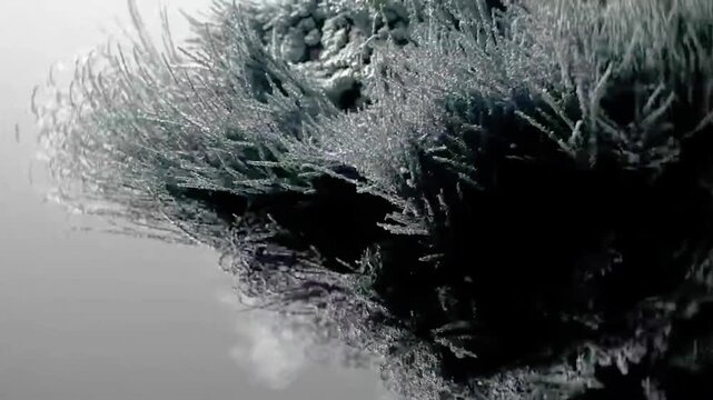 Dynamic abstract art render showcasing complex dark organic textures, a compelling 3D animation still from a futuristic 3D video, embodying modern digital art visuals