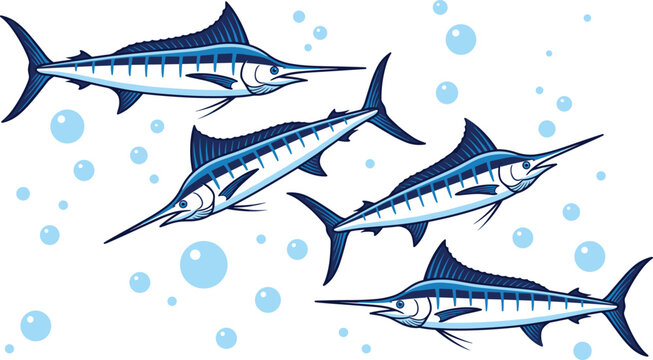 Blue marlin fish vector illustration, Atlantic sailfish swimming in ocean water with bubbles, salt water sport fishing marine life set
