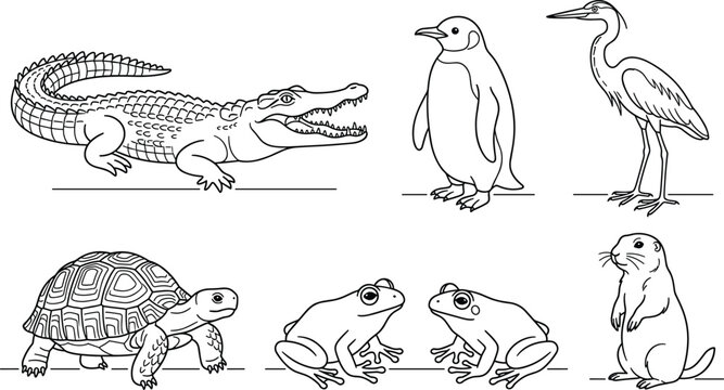 Wildlife animal line art vector set with crocodile, penguin, heron, turtle, frogs and groundhog icons, black outlines isolated on white